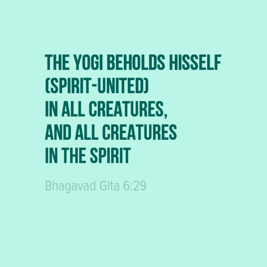 bhagavad gita chapter 6 verse 29