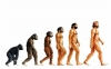 Addendum to Evolution: Origins of the World