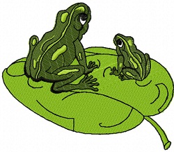 Two Frog friends