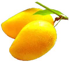 Two mangoes that are three